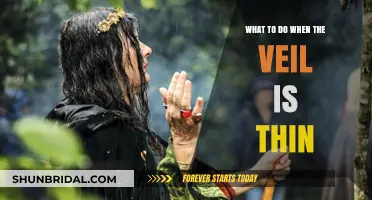 Navigating the Thin Veil: Rituals, Reflections, and Spiritual Practices