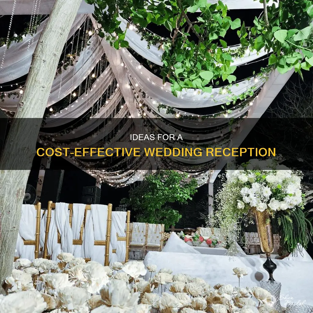 what to do when you cant afford a wedding reception