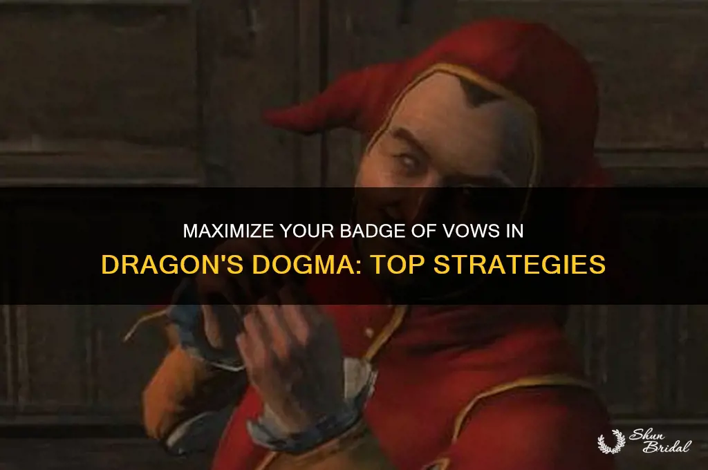 what to do with badge of vows dragon