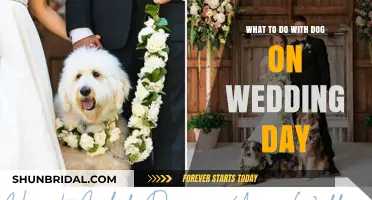 Incorporating Your Furry Friend: Wedding Day Tips for Dog Owners