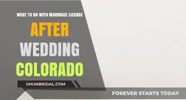 Post-Wedding Steps: Handling Your Colorado Marriage License After the Big Day