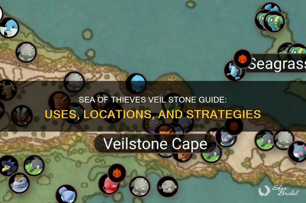 what to do with veil stone sea of thieves