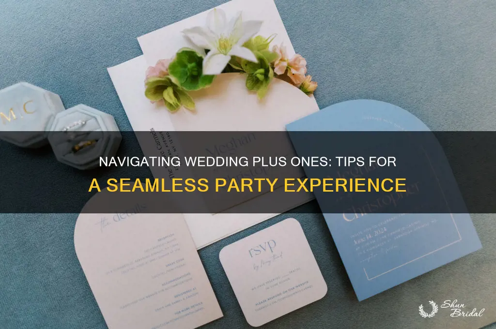 what to do with wedding party plus ones