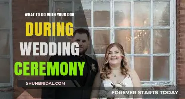 Involving Your Dog in Your Wedding Ceremony: Tips and Ideas