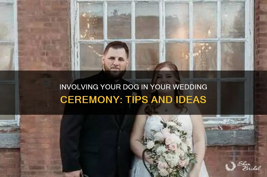 what to do with your dog during wedding ceremony