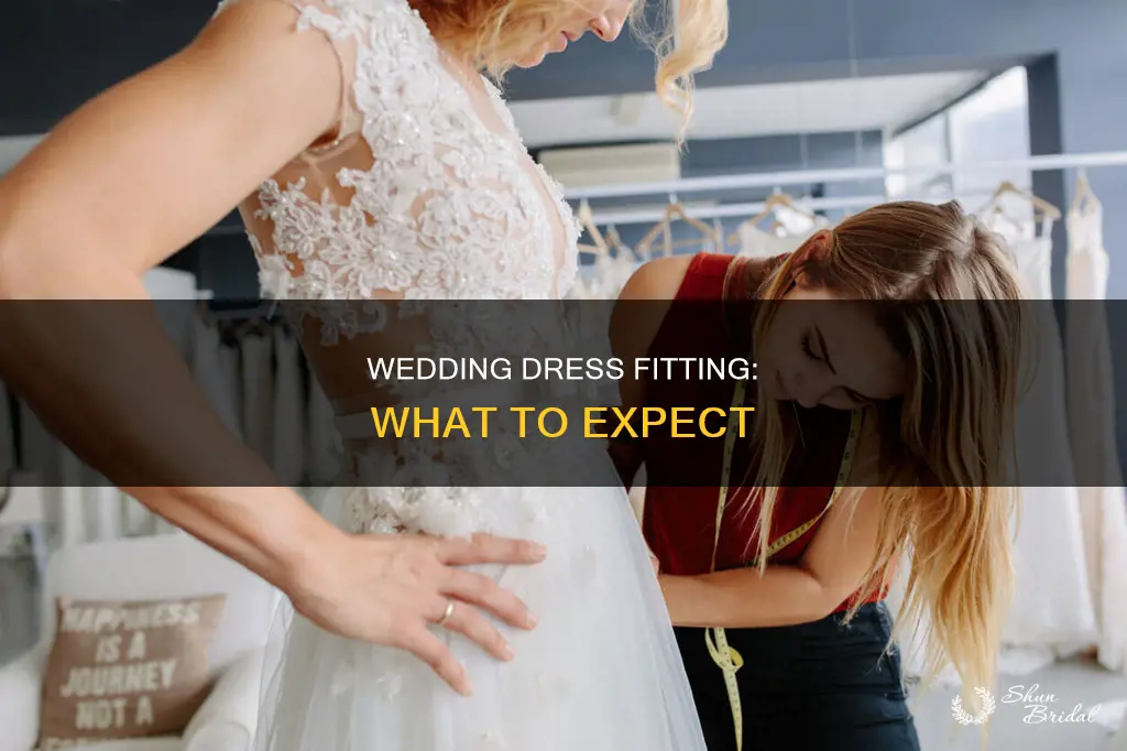 what to expect at a wedding dress fitting