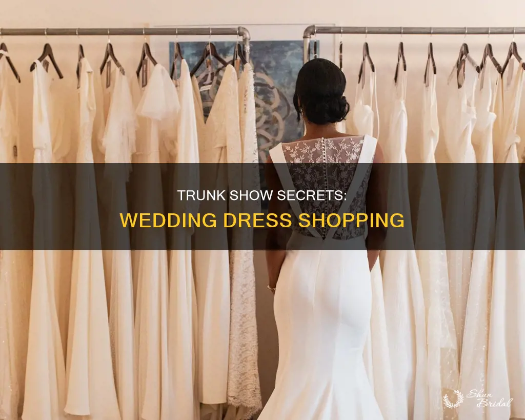 what to expect at a wedding dress trunk show