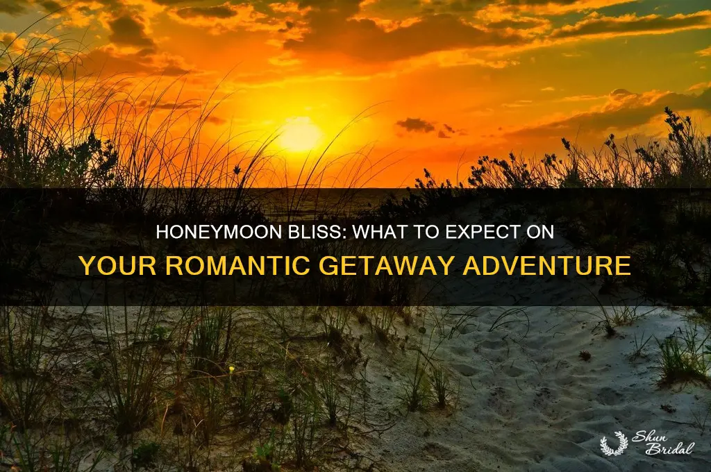 what to expect during honeymoon