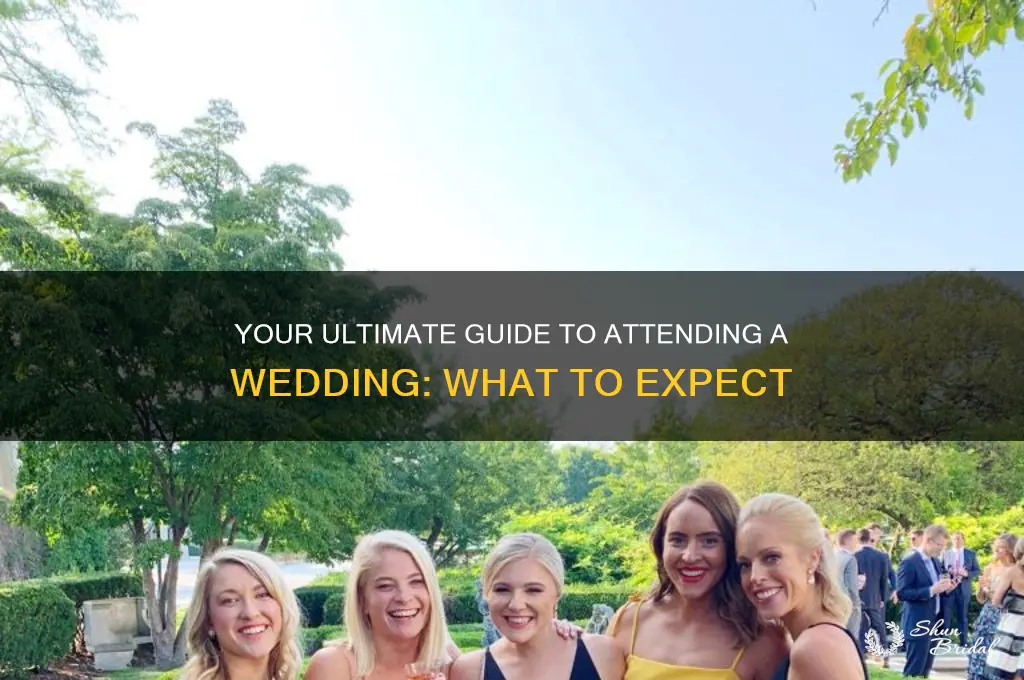 what to expect going to wedding