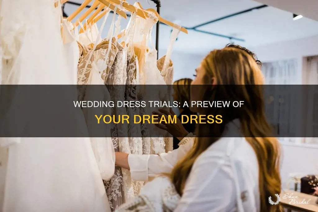 what to expect with a sample wedding dress