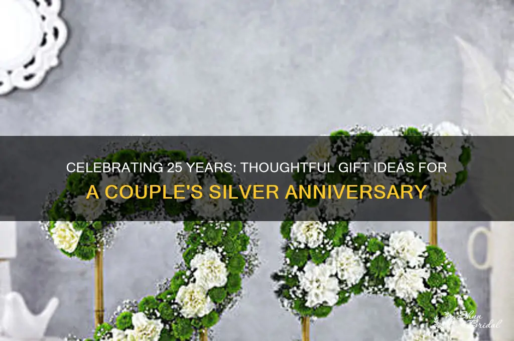 what to get a couple for 25th wedding anniversary