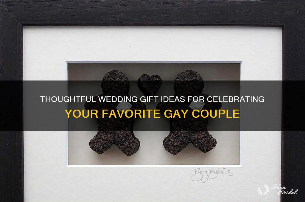 what to get a gay couple for a wedding gift