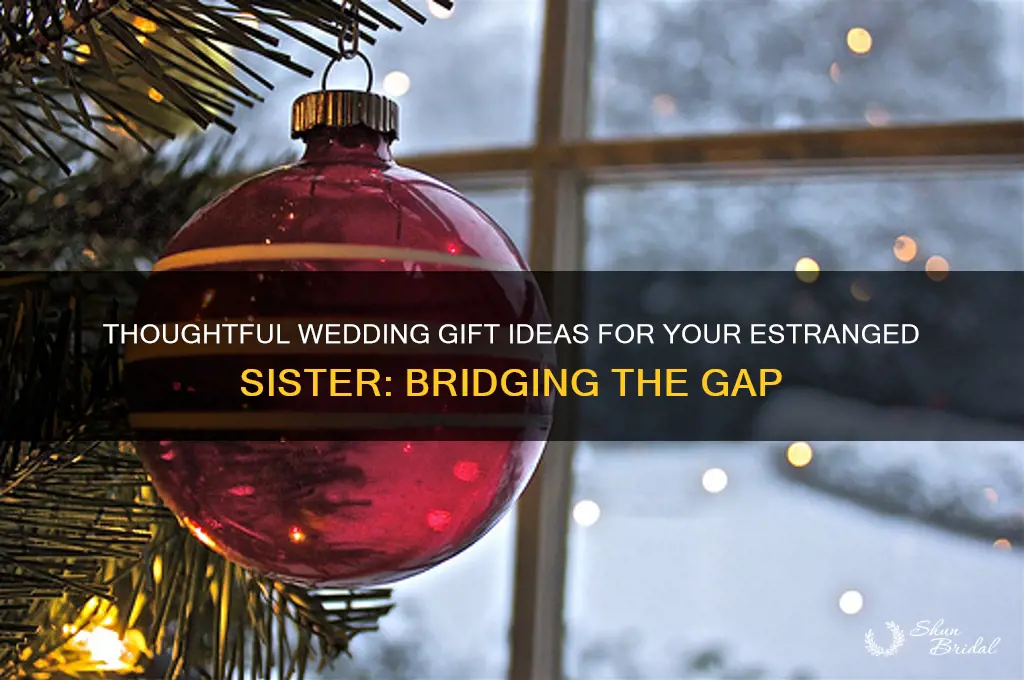 what to get estranged sister for wedding gift