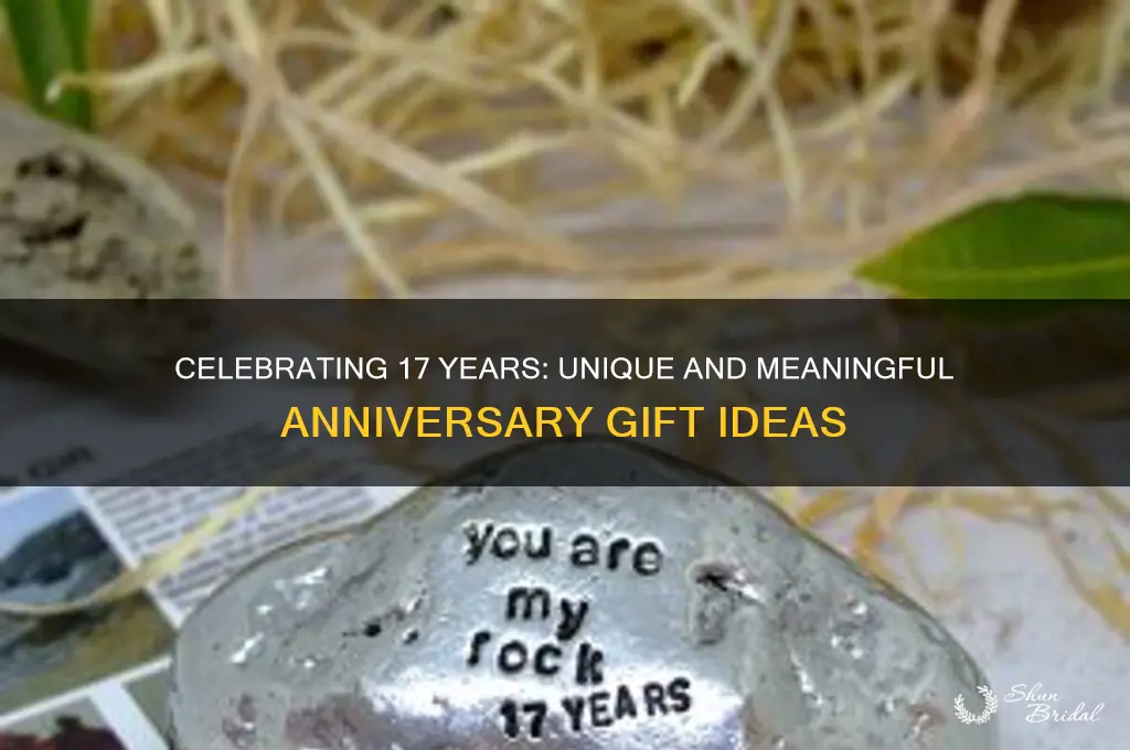 what to get for 17th wedding anniversary