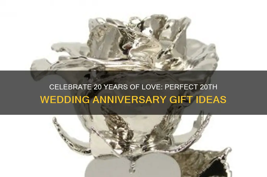 what to get for 20 wedding anniversary