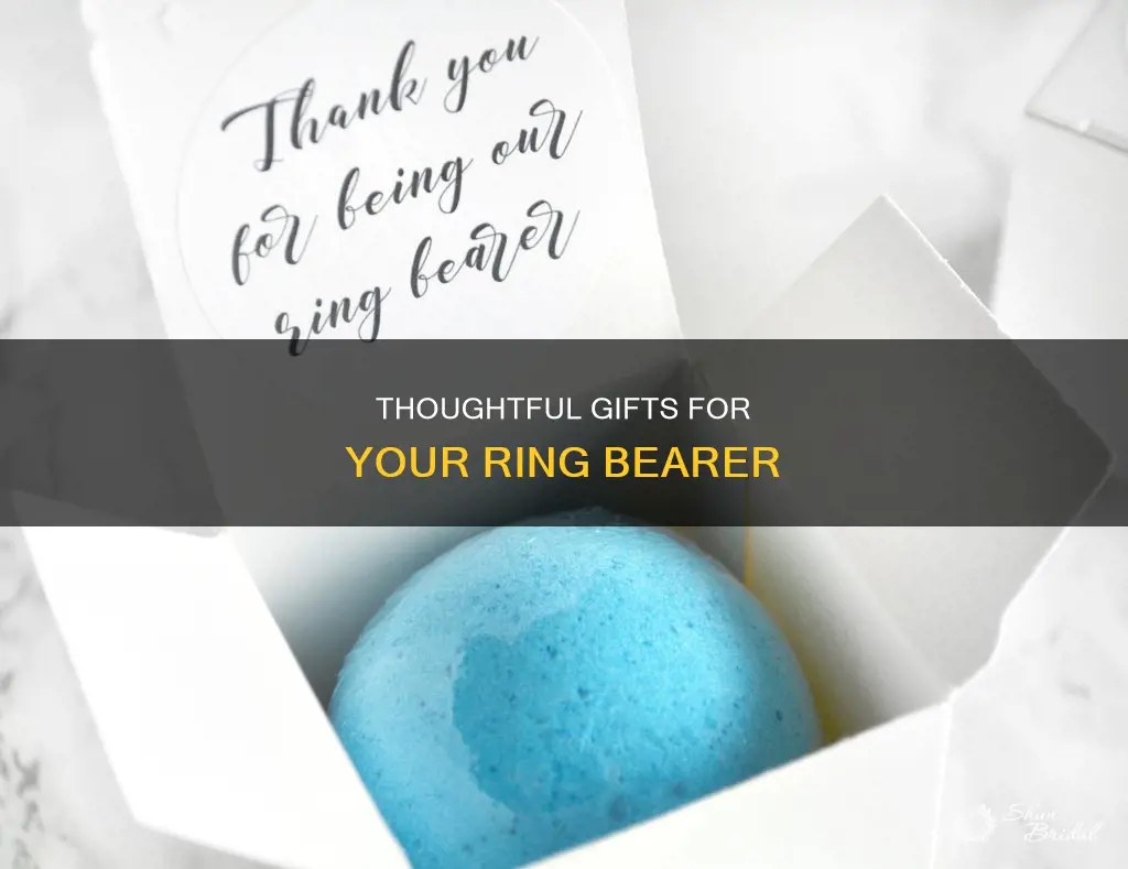 what to get my ring bearer for wedding gift