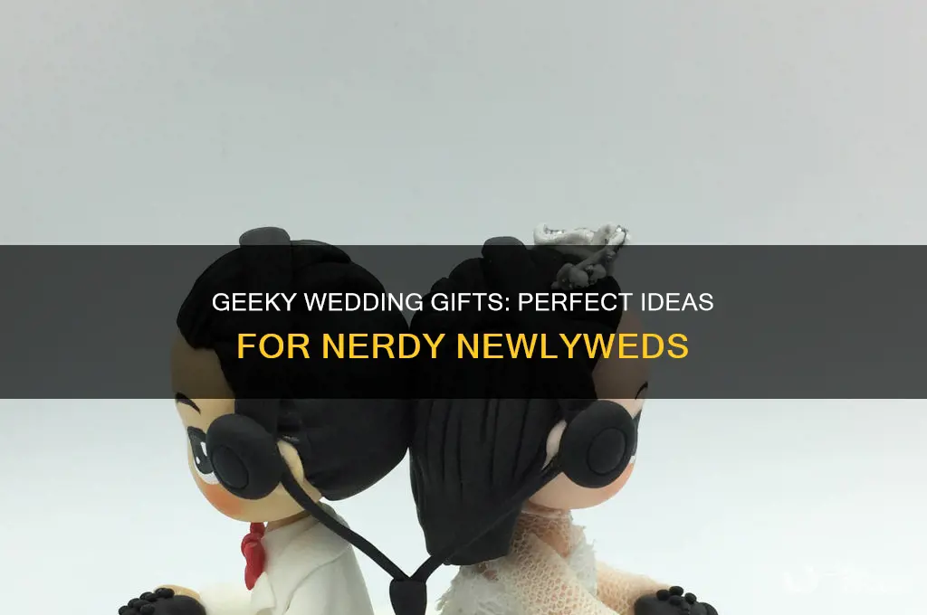 what to give for wedding gift geeky nerd