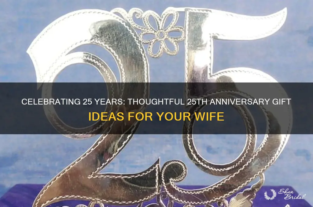 what to give wife for 25th wedding anniversary