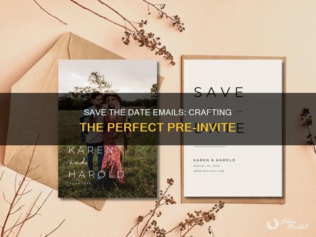 what to include in save the date wedding email