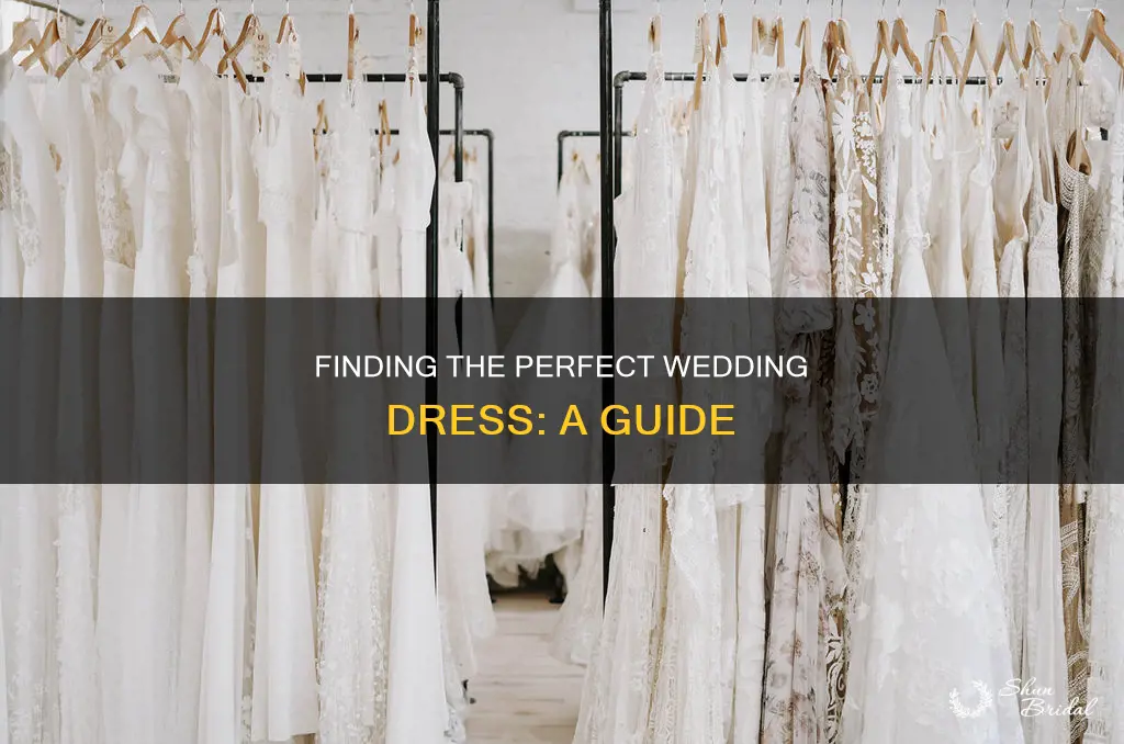 what to know about trying on wedding dresses