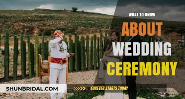 Essential Wedding Ceremony Insights: Traditions, Planning, and Personalization Tips