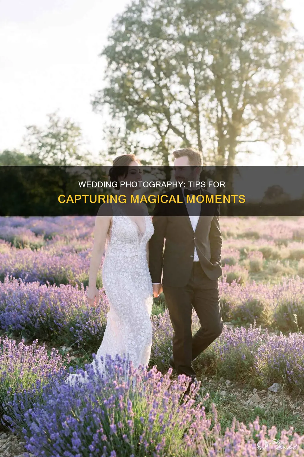 what to know about wedding photography