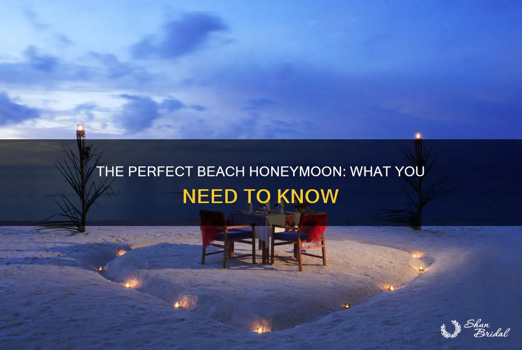 what to know for a neach honeymoon