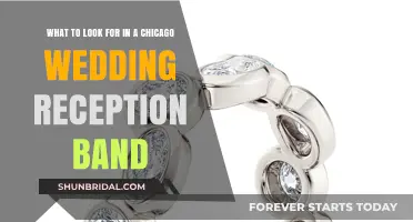 Finding the Perfect Chicago Wedding Reception Band
