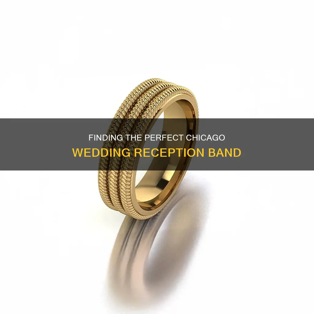 what to look for in a chicago wedding reception band