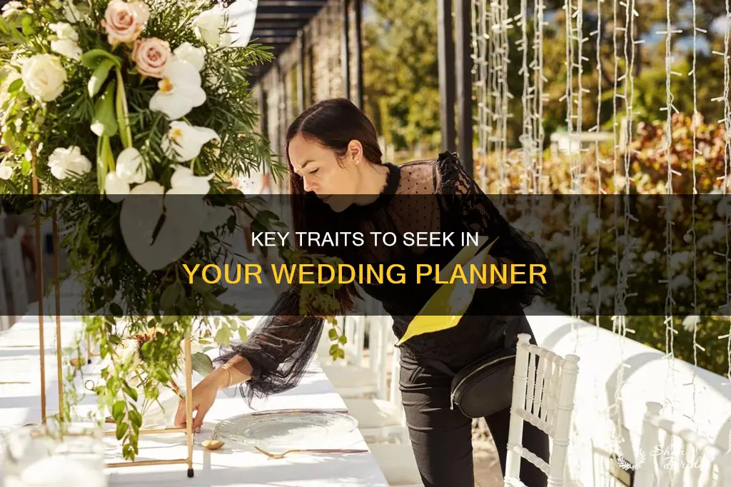 what to look for in a wedding planner