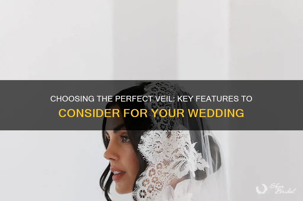 what to look for when buying a veil