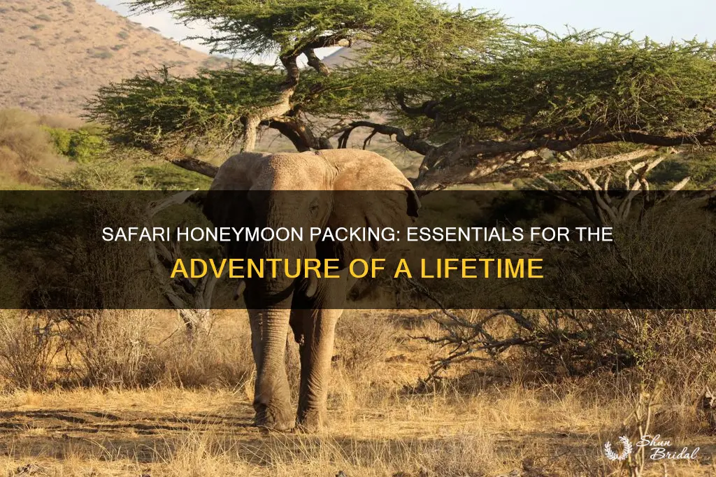 what to pack for safari honeymoon