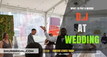Setting the Right Budget for a Beginner DJ at Your Wedding