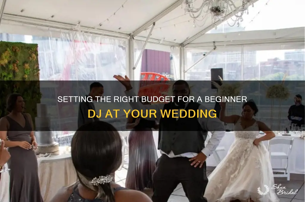 what to pay a novice d.j at wedding