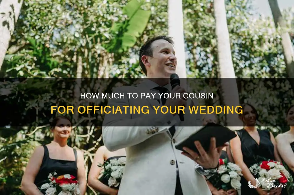 what to pay cousin for being the wedding officiant