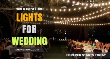 Budgeting for Wedding String Lights: Cost Guide for Your Big Day