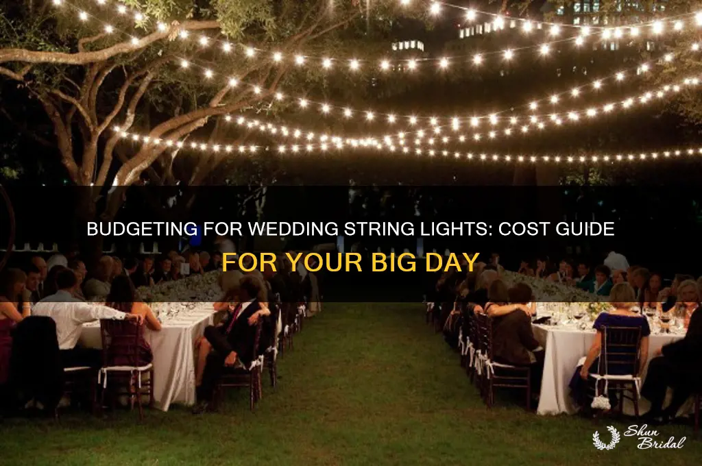 what to pay for string lights for wedding
