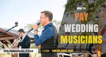How Much to Pay Wedding Musicians: A Comprehensive Guide