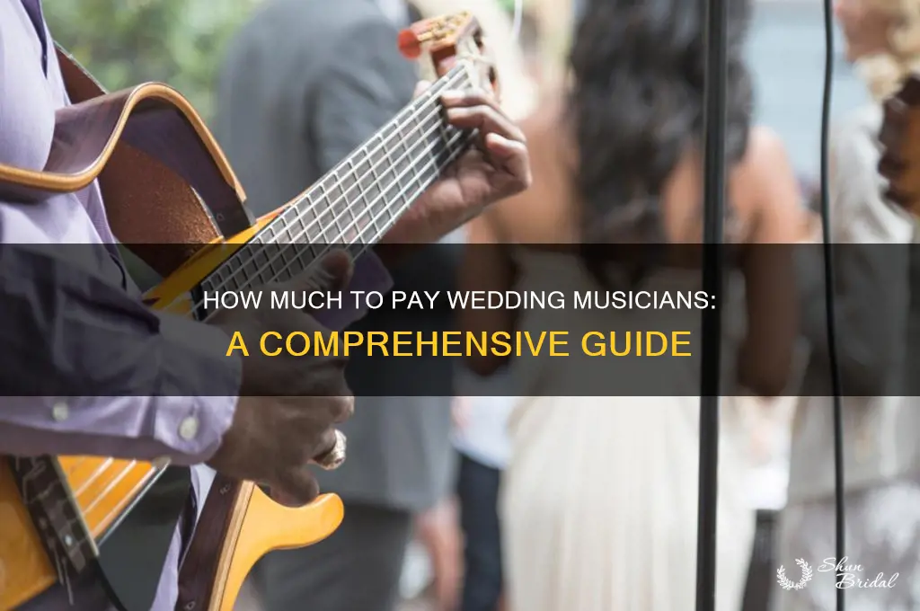 what to pay wedding musicians