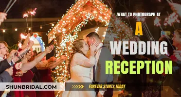 Capturing the Joy: Wedding Reception Photography Ideas