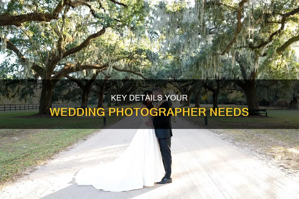 what to provide your wedding photographer with