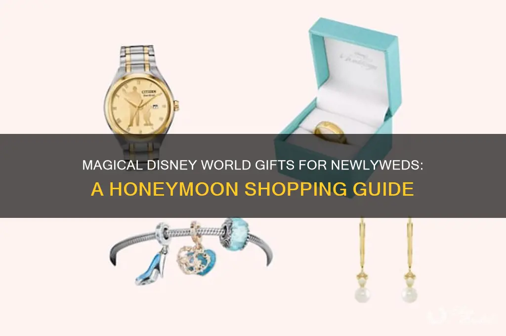what to purchase a newlly wed going to disney world