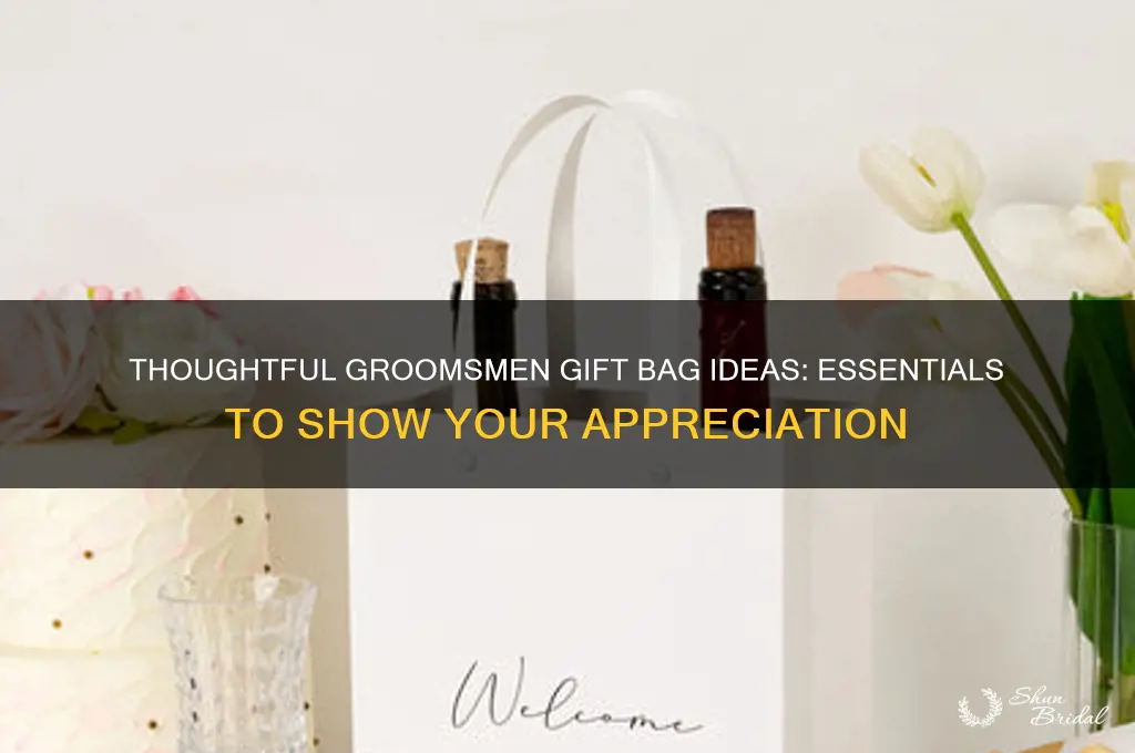 what to put in a groomsmen gift bag