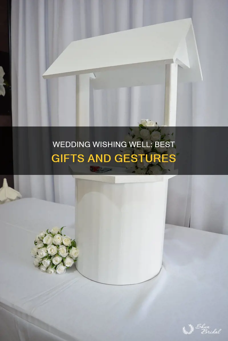 what to put in a wedding wishing well