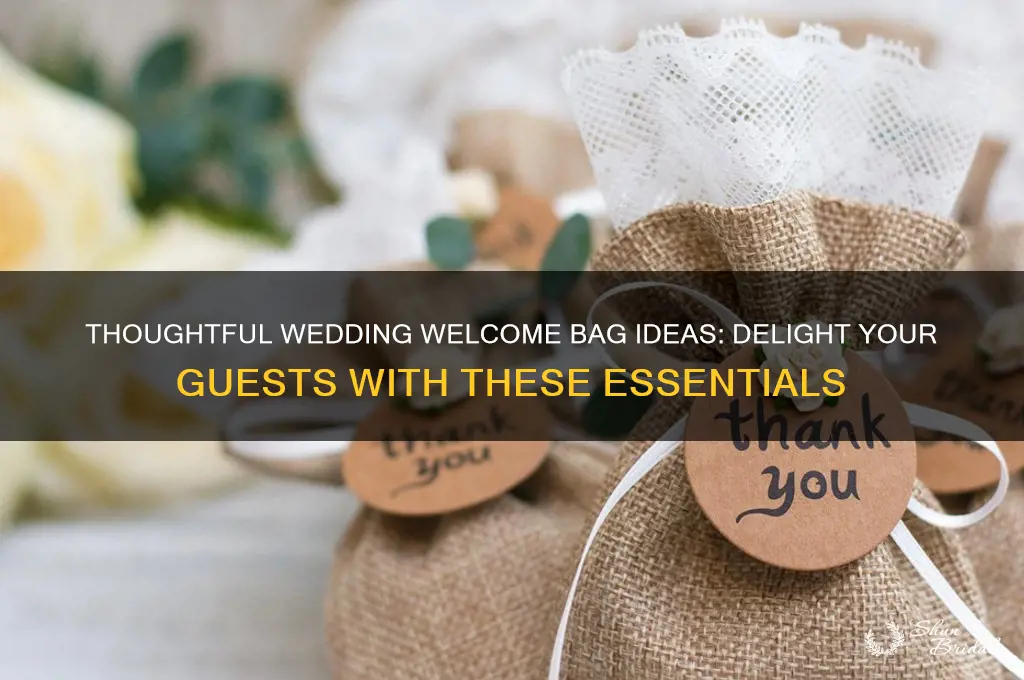 what to put in a welcome to wedding gift bag