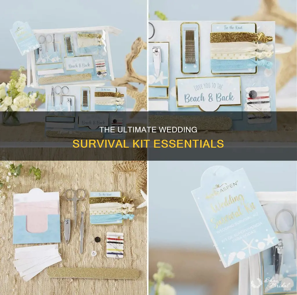 what to put in wedding survial kit