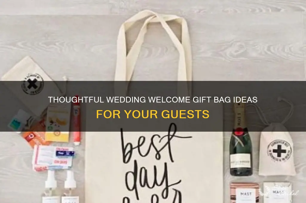what to put in wedding welcome gift bags