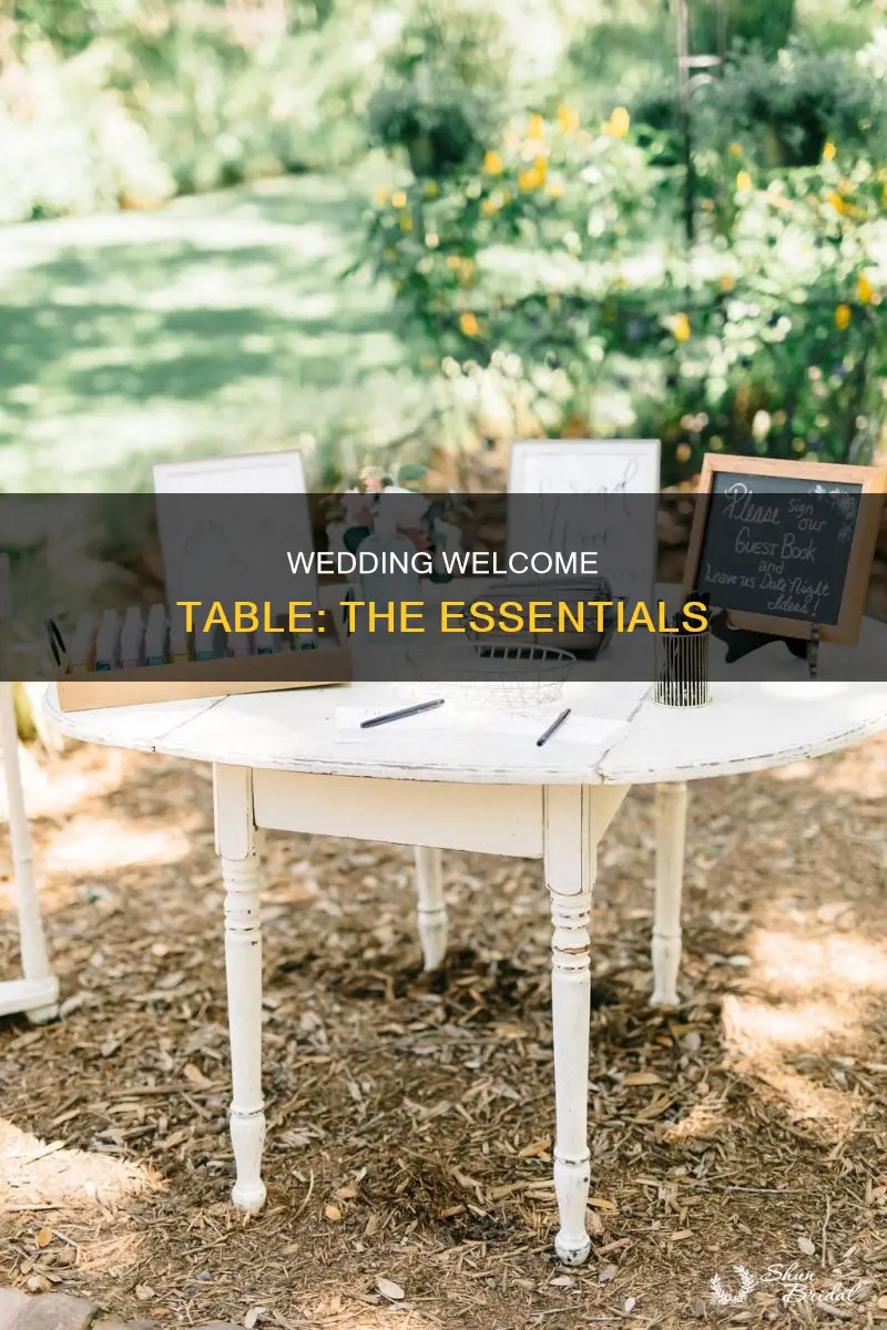 what to put on wedding welcome table