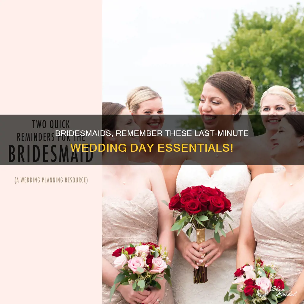 what to reminde bridesmaids before wedding