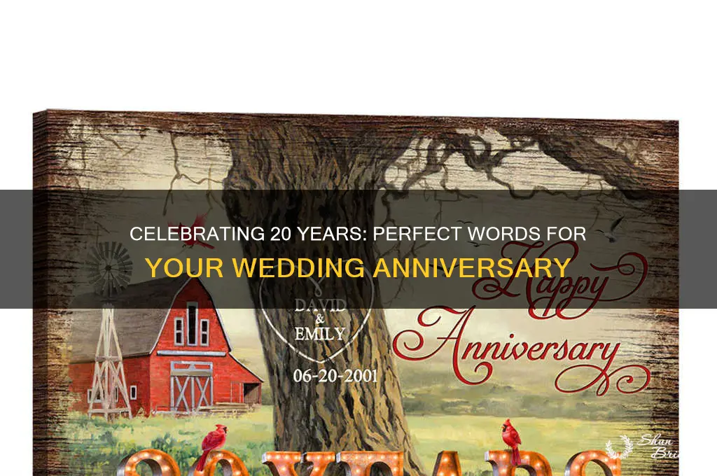 what to say 20 year wedding anniversary